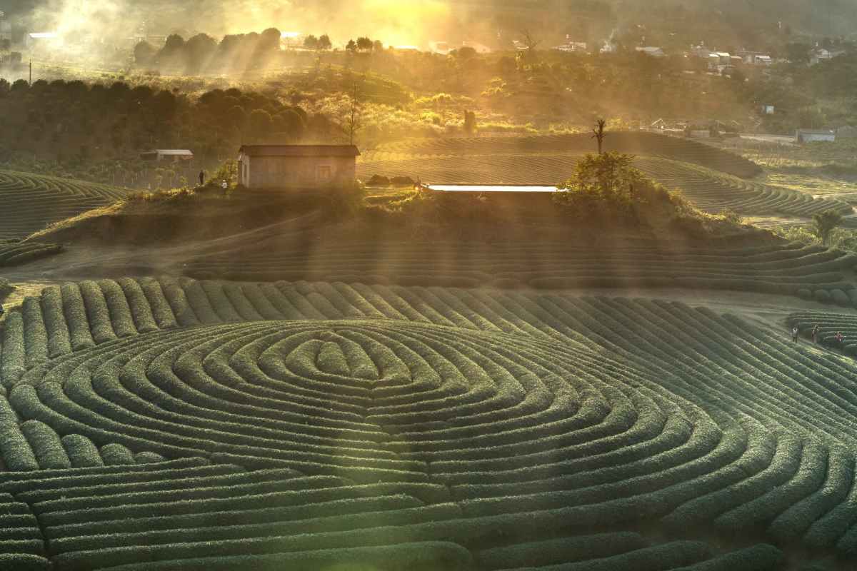 Being My Own Best&nbsp;Agent